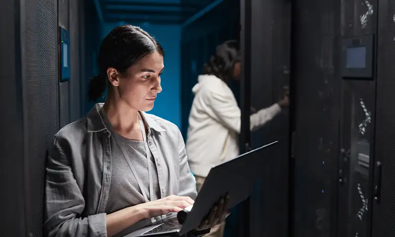 Cybersecurity professionals review data protections