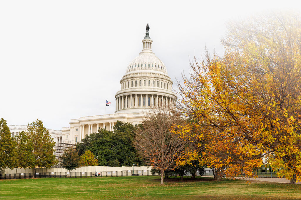 AI for Federal