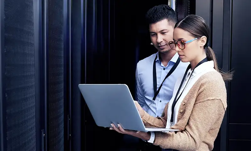 IT professionals reviewing their cloud solution