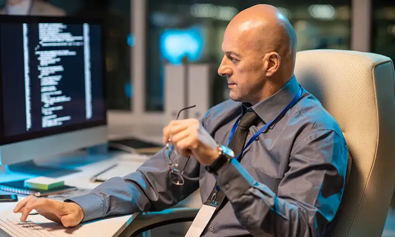 security professional