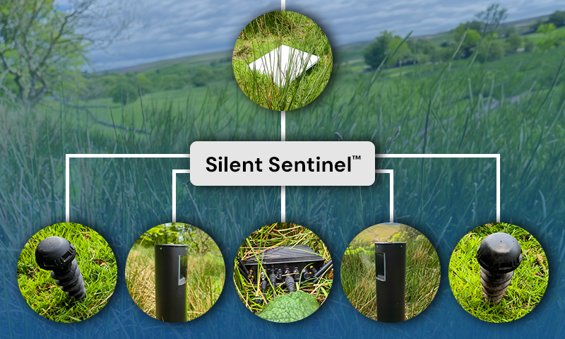 Silent Sentinel™ Edge Processing & Orchestration