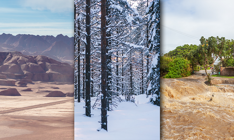 Various environmental examples - desert, snowy forest, flooded location.