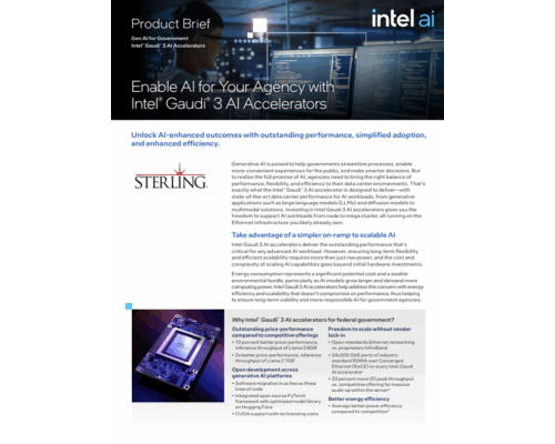Intel Gaudi AI