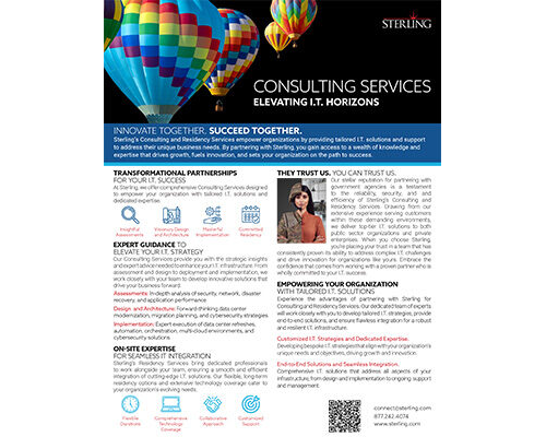 Consulting Services